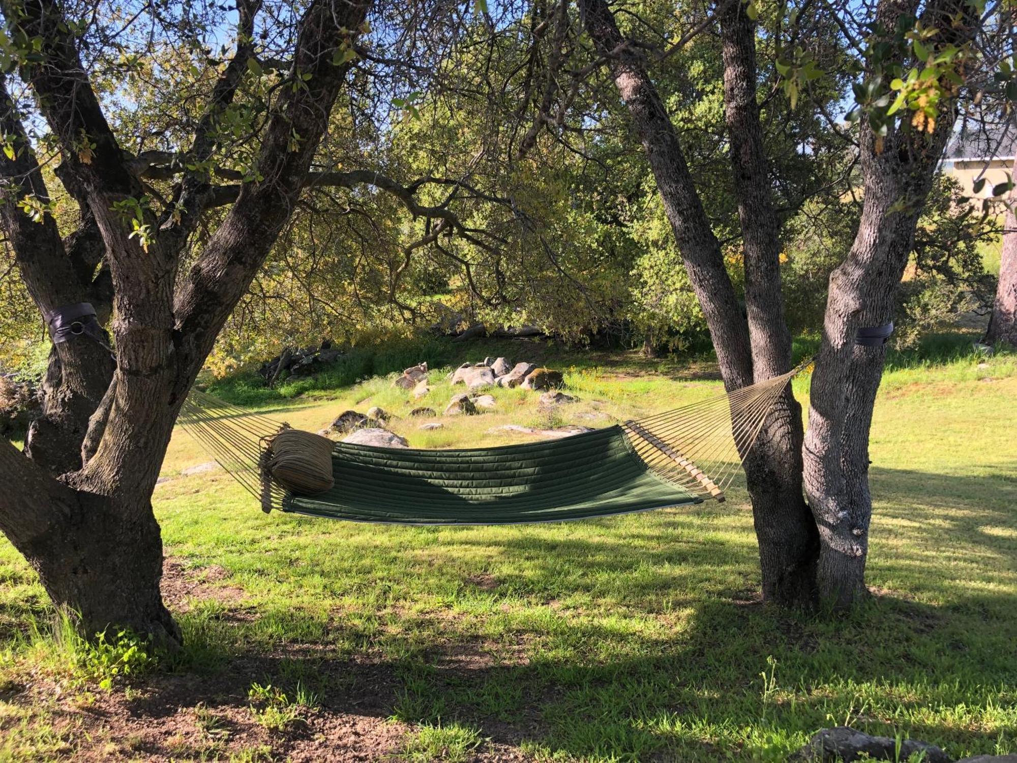 Oak Retreat By Yosemite National Park Lejlighed Coarsegold Eksteriør billede